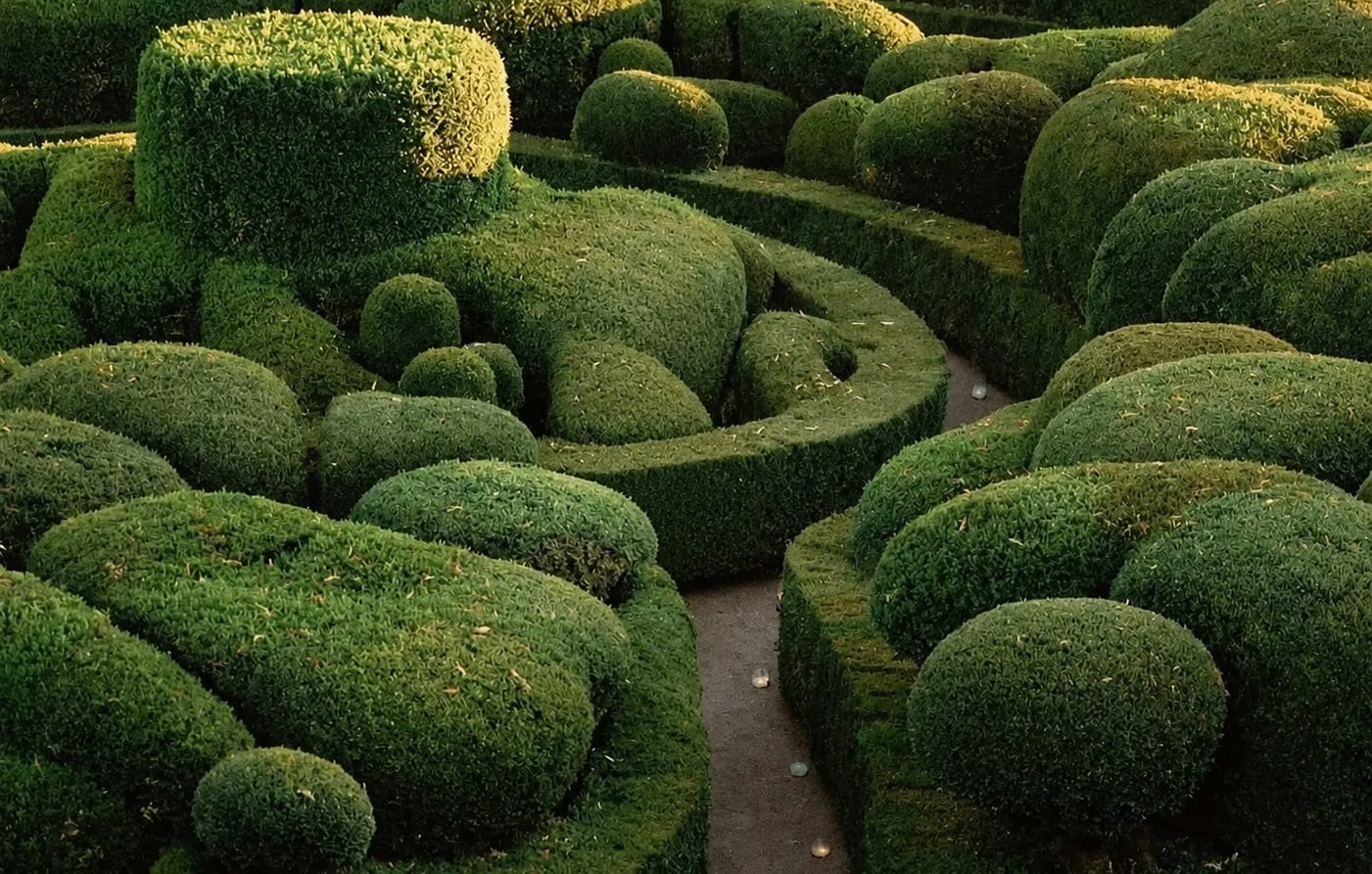 The Marqueyssac gardens, with sculpted topiary mazes in golden light